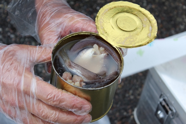 Nur unter verschäfrten Sicherheitsbedingungen zu öffnen: Eine Dose „Surströmming“.